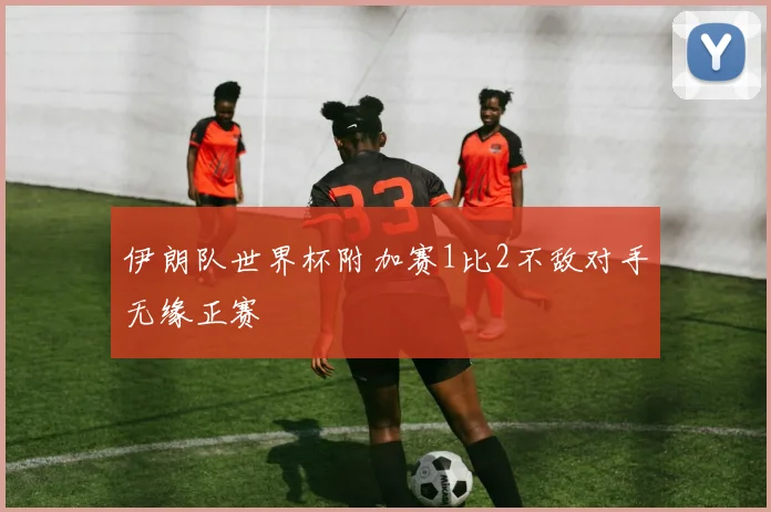 伊朗队世界杯附加赛1比2不敌对手无缘正赛