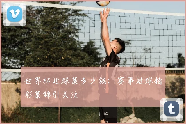 世界杯进球集多少钱：赛事进球精彩集锦引关注